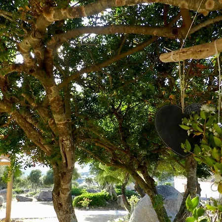 Su Donnigheddu Alojamento de Acomodação e Pequeno-almoço