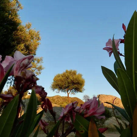Alojamento de Acomodação e Pequeno-almoço Su Donnigheddu 3*