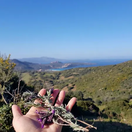 Su Donnigheddu Alojamento de Acomodação e Pequeno-almoço Rudalza
