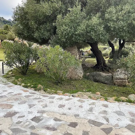 Su Donnigheddu Bed & Breakfast