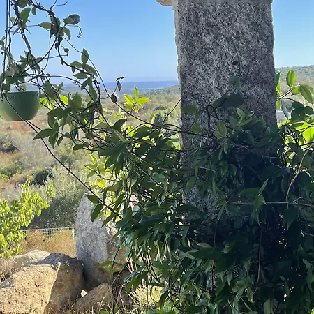 Bed & Breakfast Su Donnigheddu Rudalza